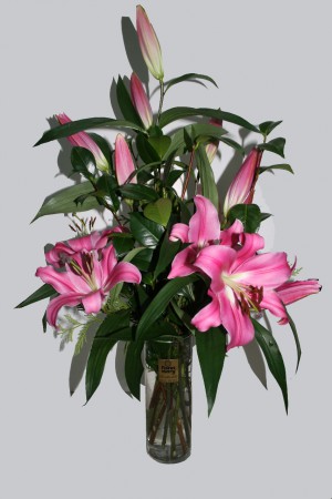 P-03 LILIUM EN JARRON 